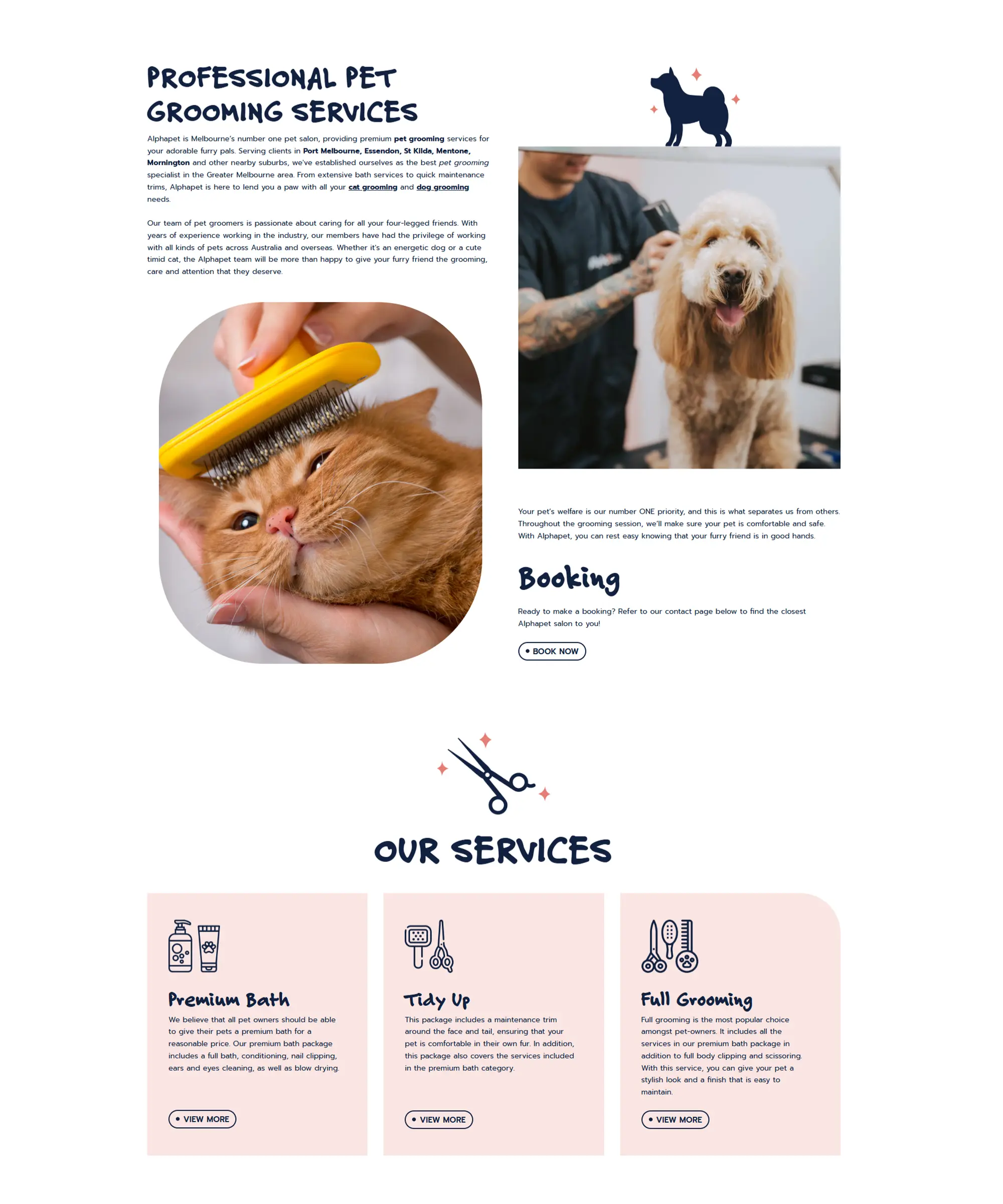 Web Design Portfolio Srimeshtech Agency