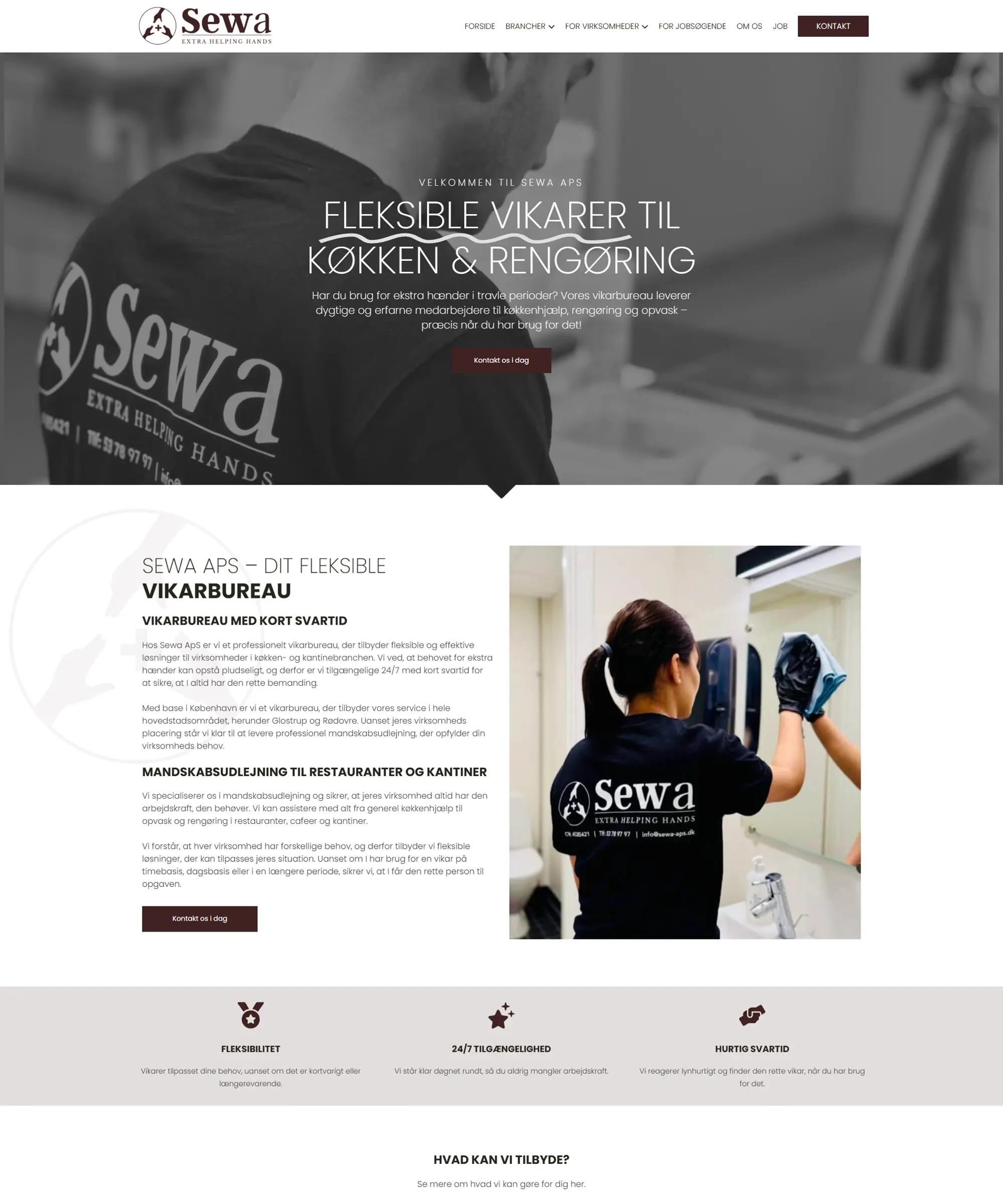 Web Design Portfolio Srimeshtech Agency